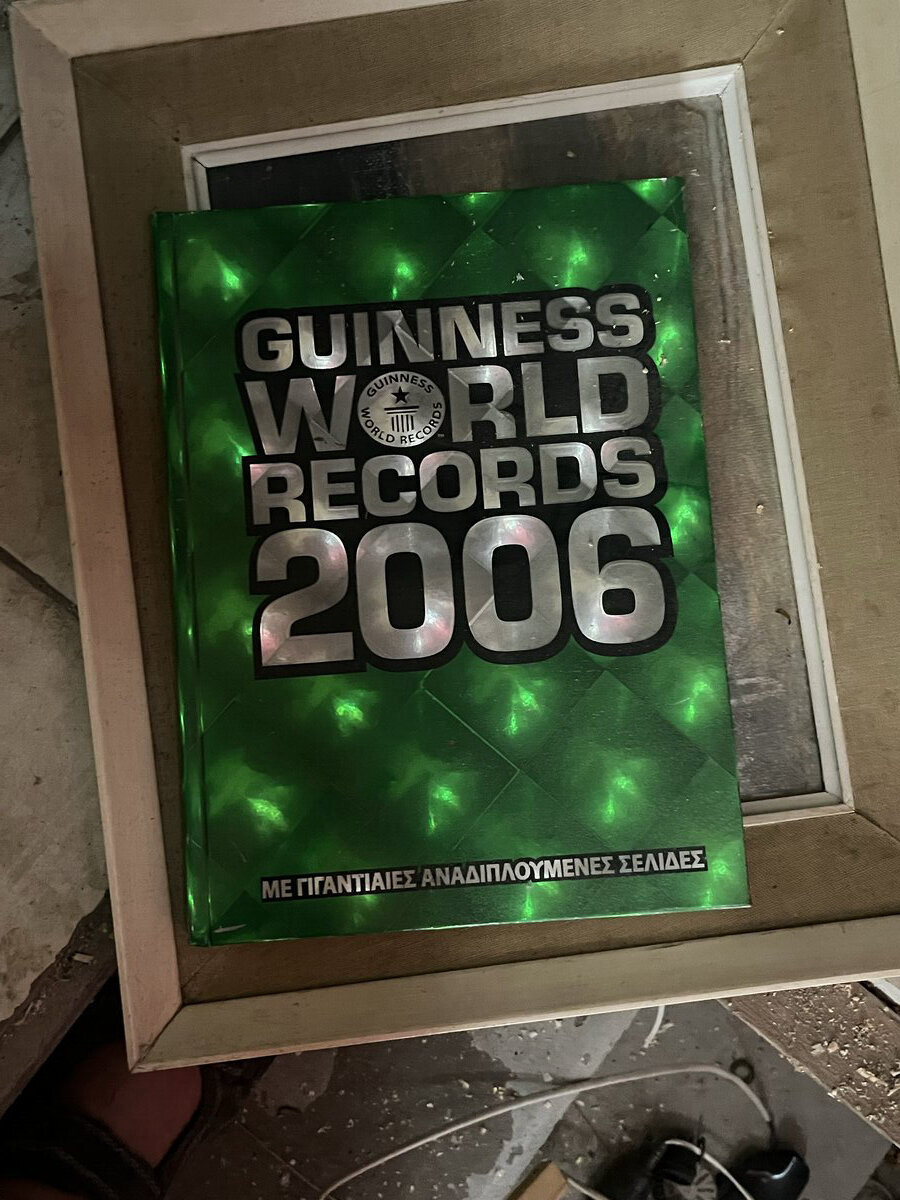 Παγκόσμια Ρεκόρ Γκίνες 2006